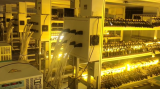 Best quality automotive led bulbs