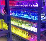 best h7 led conversion kit