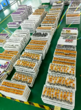 Best led bulbs for automotive